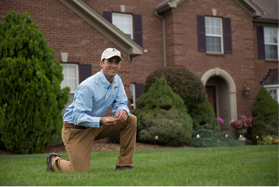 Cover photo of Lawn Doctor of The Lower Eastern Shore